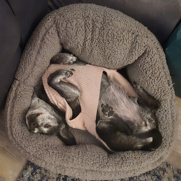 Meet your Posher, Melanie - Picture 2 of 7